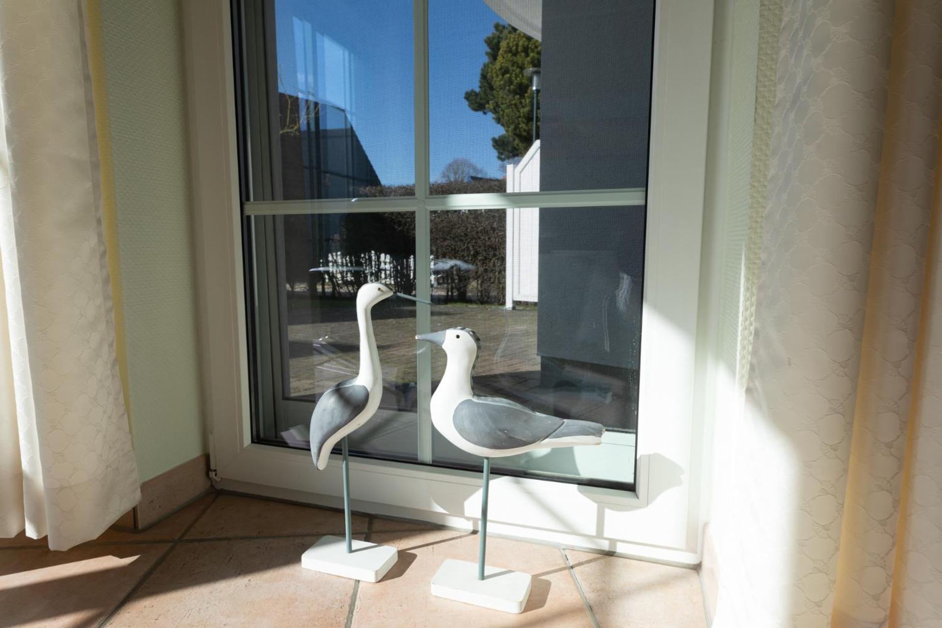 Apartmán Eden 02 Zingst Exteriér fotografie